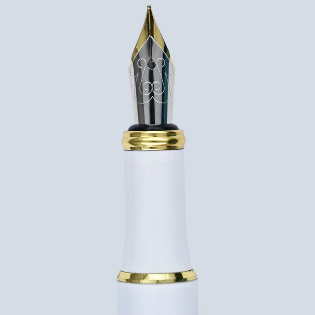 Eucalyptus Fountain Pen Set - Wordkind