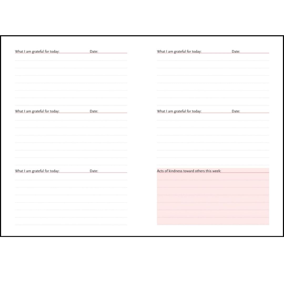 A Daily Dose of Gratitude Journal - Wordkind