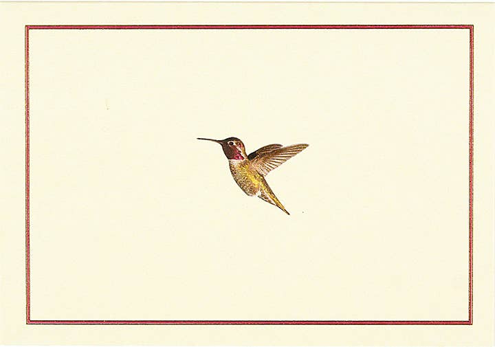 Hummingbird Flight Note Cards - Wordkind Stationery Boutique