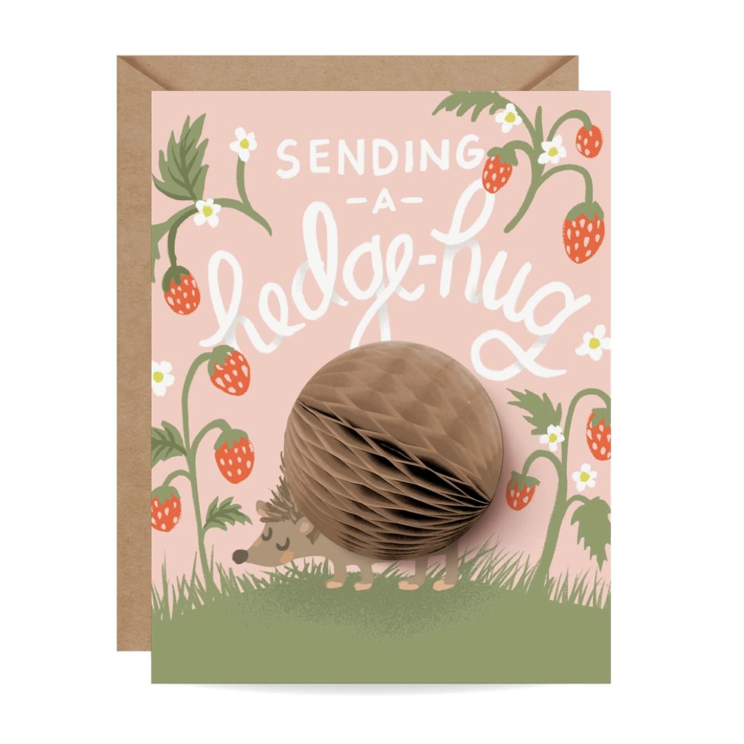 Pop-Up Card - Hedgehug - Friendship/Encouragement