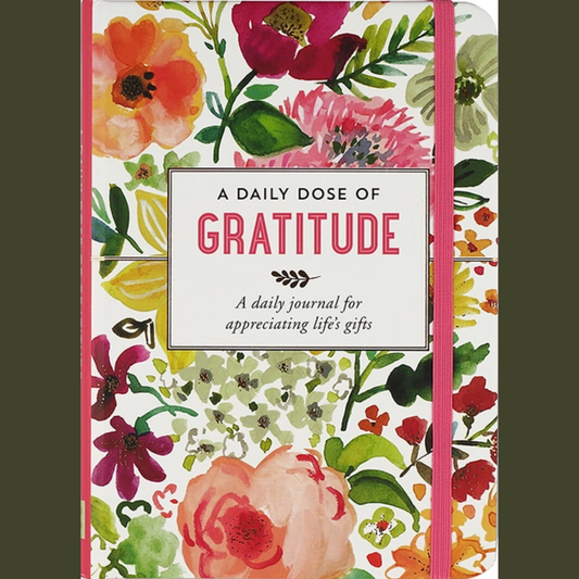 A Daily Dose of Gratitude Journal - Wordkind