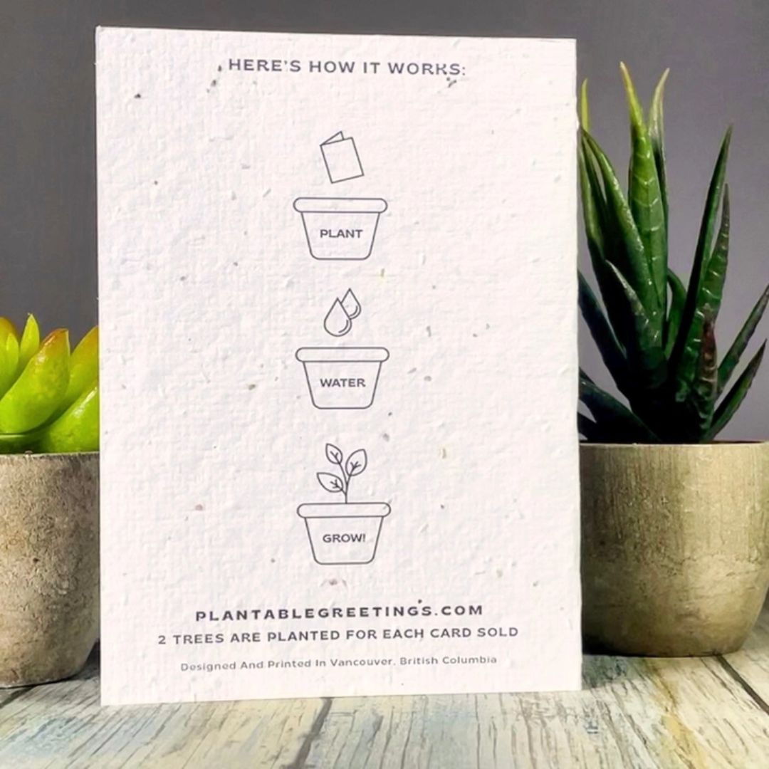 Seed Paper Greeting Cards: Plant, Water, Grow- Wordkind