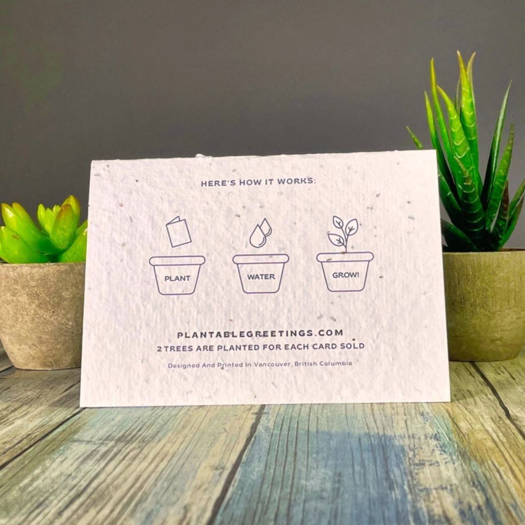 Plantable seed paper greeting card instructions: Plant, water, grow. Wordkind.