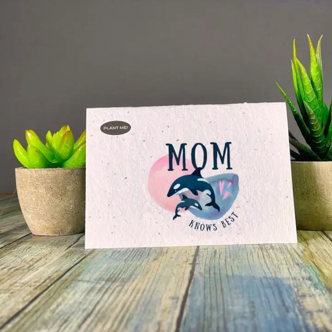 Seed paper greeting card with Mom knows best and a graphic of a mother and baby orcas. Wordkind.