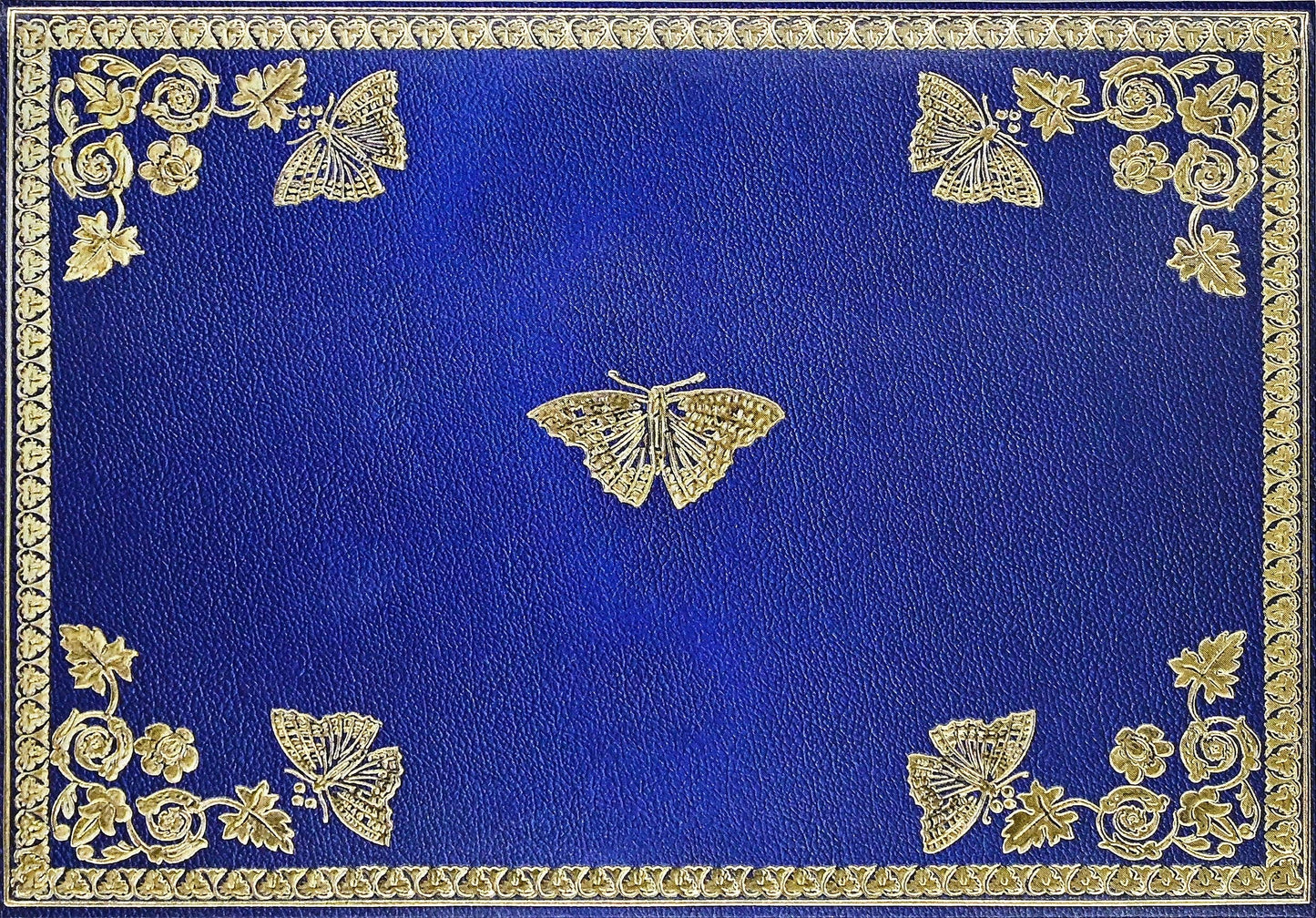 Gilded Butterflies Note Cards - Wordkind Stationery Boutique