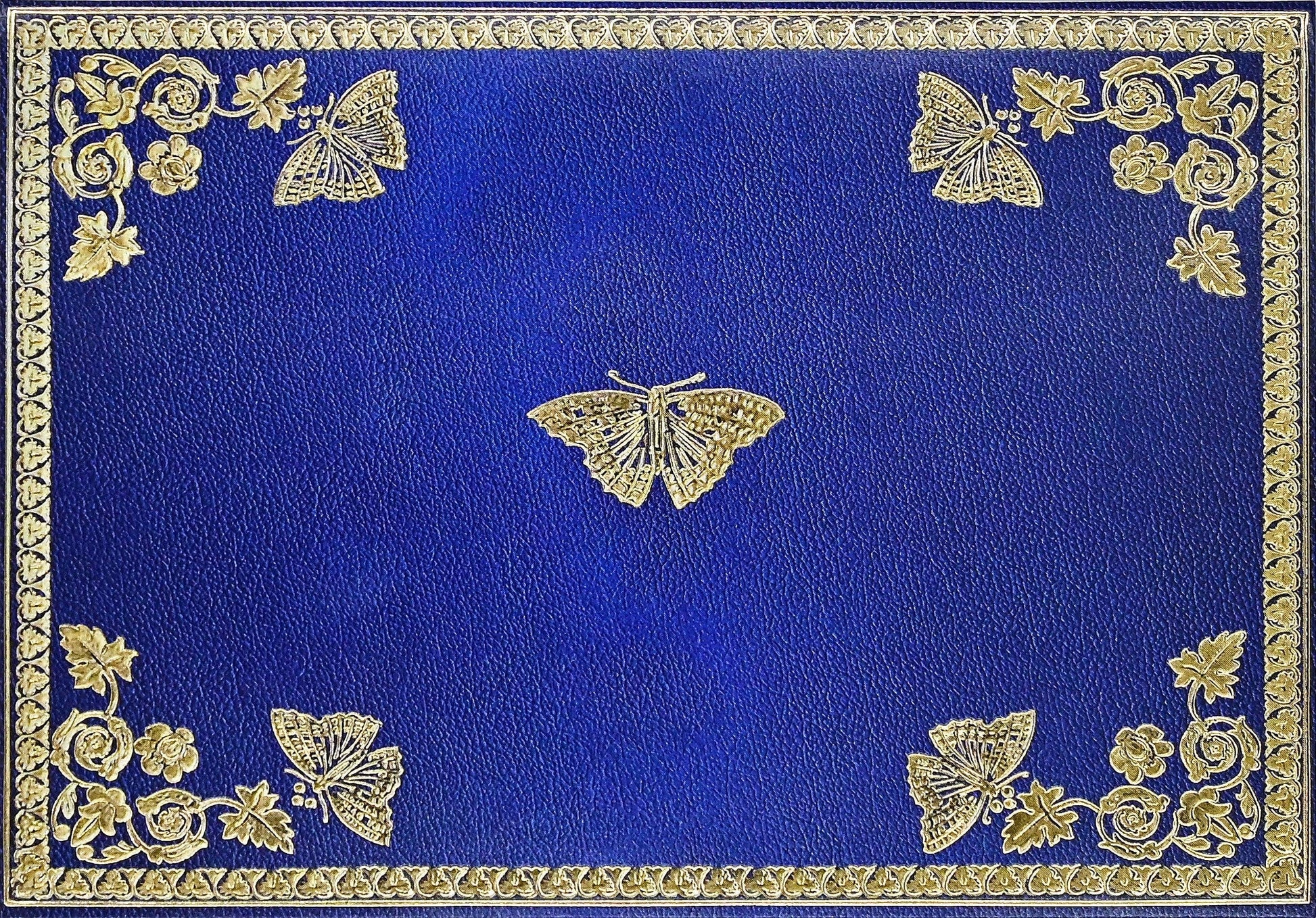 Gilded Butterflies Note Cards - Wordkind Stationery Boutique