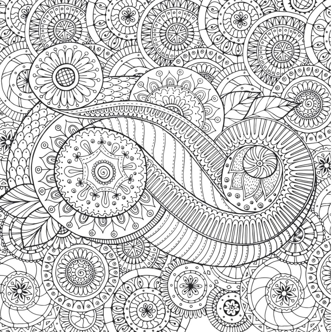 Peaceful Paisleys Artist's Colouring Book | Relaxing Art for All - Wordkind Stationery Boutique
