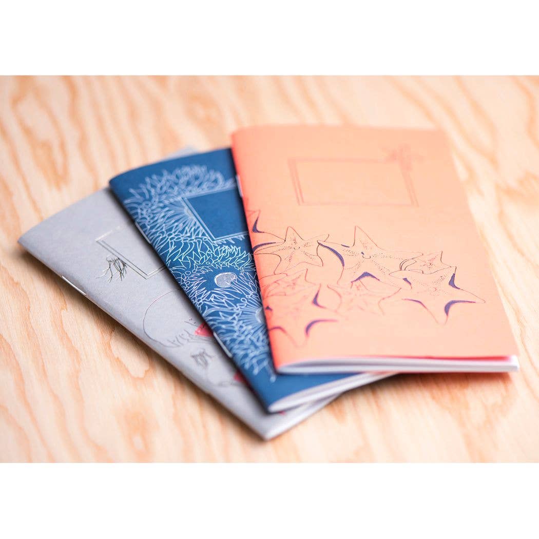 Set of 3 Pocket Letterpress Notebooks - Aquatic Series - Wordkind Stationery Boutique