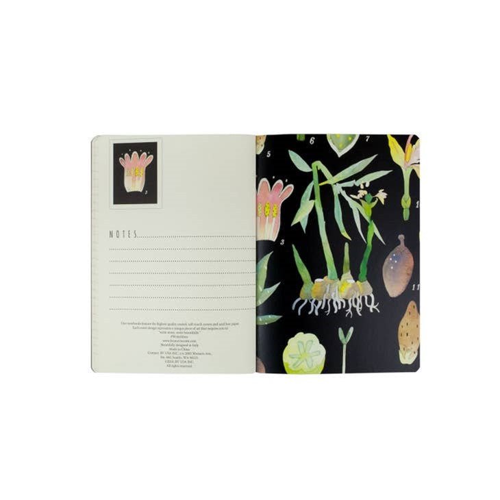 Bruno Visconti "Botany" Notebook - Wordkind