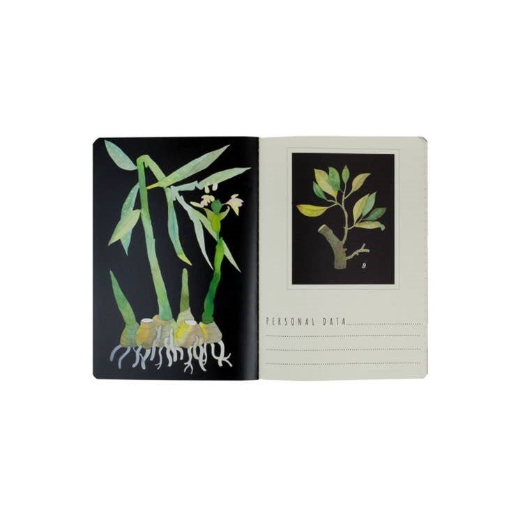 Bruno Visconti "Botany" Notebook - Wordkind