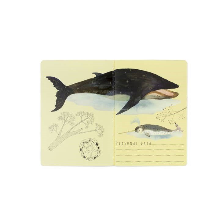 Bruno Visconti "Whales" Notebook - Wordkind