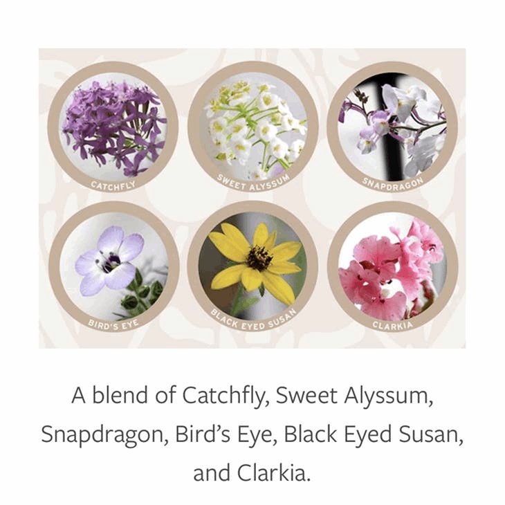 Eco-friendly seed paper greeting cards with a mix of wildflower seeds: Catchfly, Sweet Alyssum, Snapdragon, Bird’s-Eye, Black-Eyed Susan, and Clarkia. Wordkind.