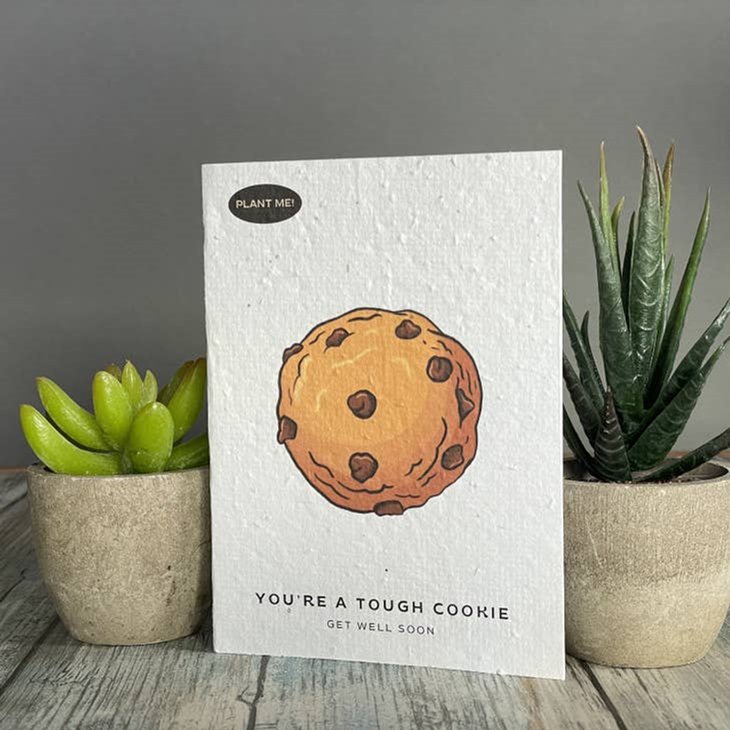 Seed paper get well card with chocolate chip cookie graphic and You’re a tough cookie, get well soon text. Wordkind.
